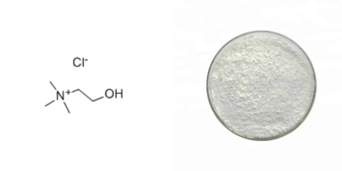 Fournisseur de chlorure de choline